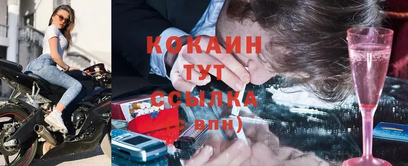 COCAIN FishScale  цены   omg ссылка  Алупка 